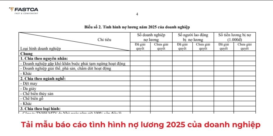 Tải mẫu báo cáo tình hình nợ lương 2025 của doanh nghiệp